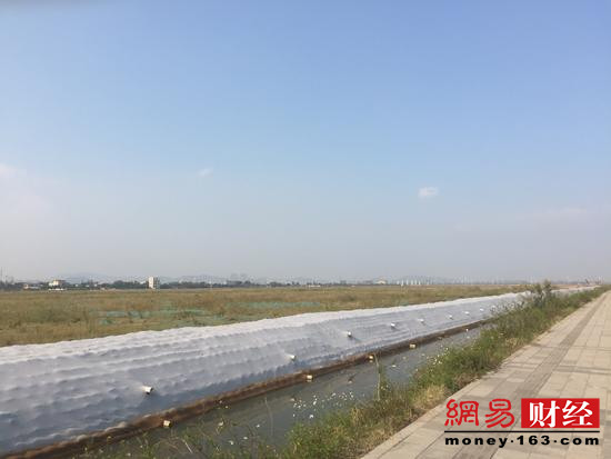 贾跃亭与恒大“闹分手”背后:FF南沙工厂建设遇阻