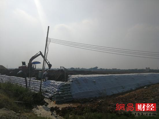 贾跃亭与恒大“闹分手”背后:FF南沙工厂建设遇阻