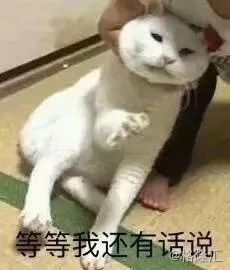 估值175亿的旅游独角兽，是僵尸和水军构成的鬼城？